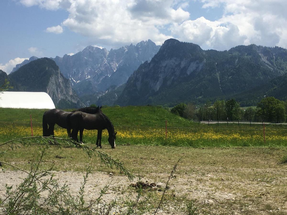 Bed and Breakfast Wengerwirt Zur Laube Weng im Gesause Экстерьер фото