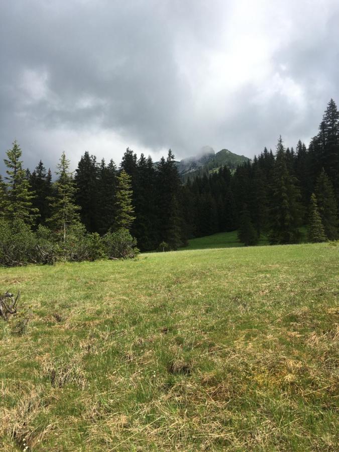 Bed and Breakfast Wengerwirt Zur Laube Weng im Gesause Экстерьер фото