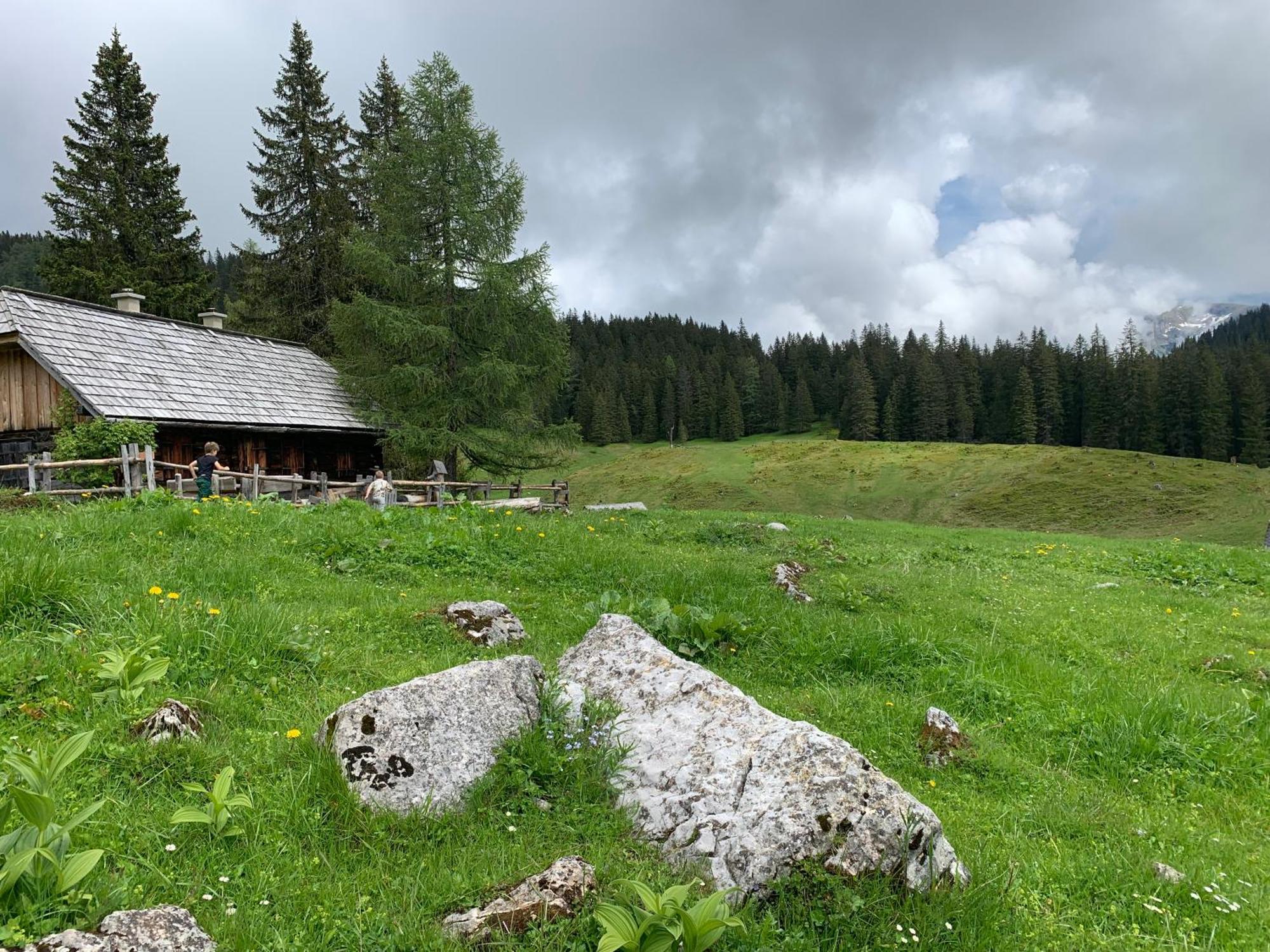 Bed and Breakfast Wengerwirt Zur Laube Weng im Gesause Экстерьер фото