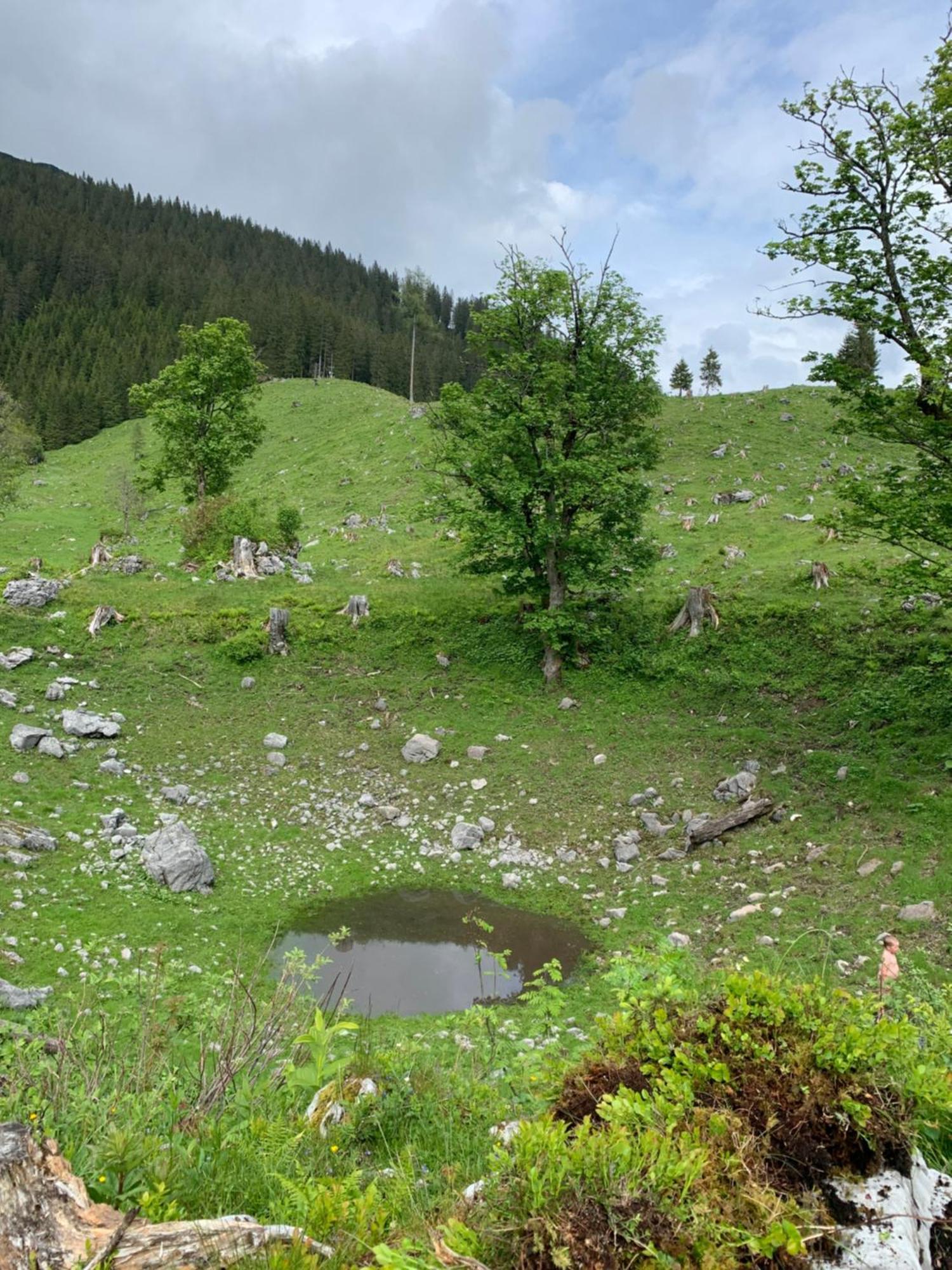 Bed and Breakfast Wengerwirt Zur Laube Weng im Gesause Экстерьер фото